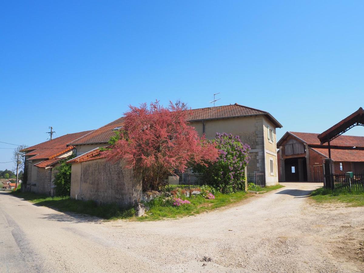 Le Gite Du Haut Châtillon-la-Palud エクステリア 写真
